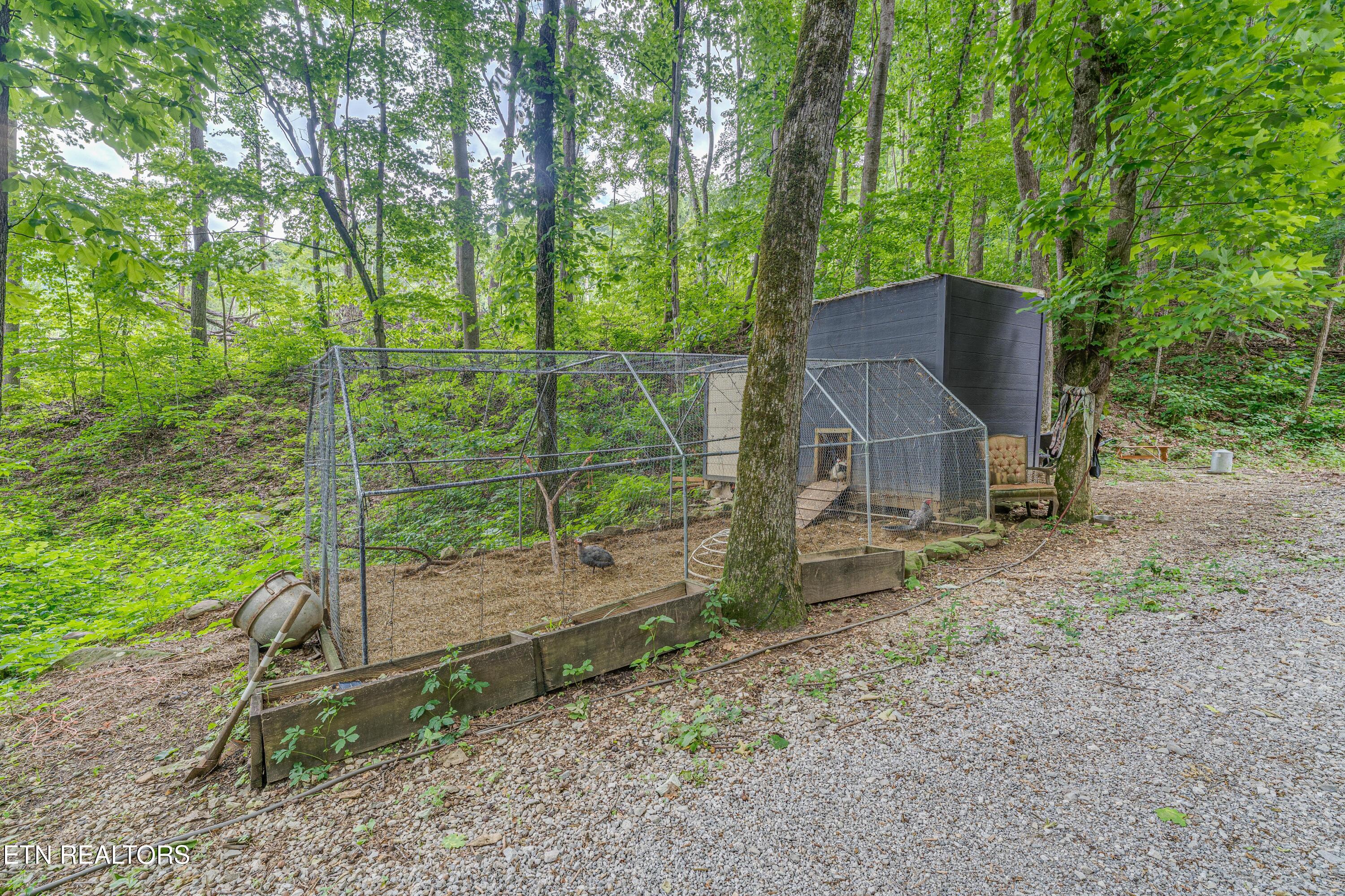56 Timber Ridge Pikeville, TN 37367 - Photo 17 of 50 TR 18