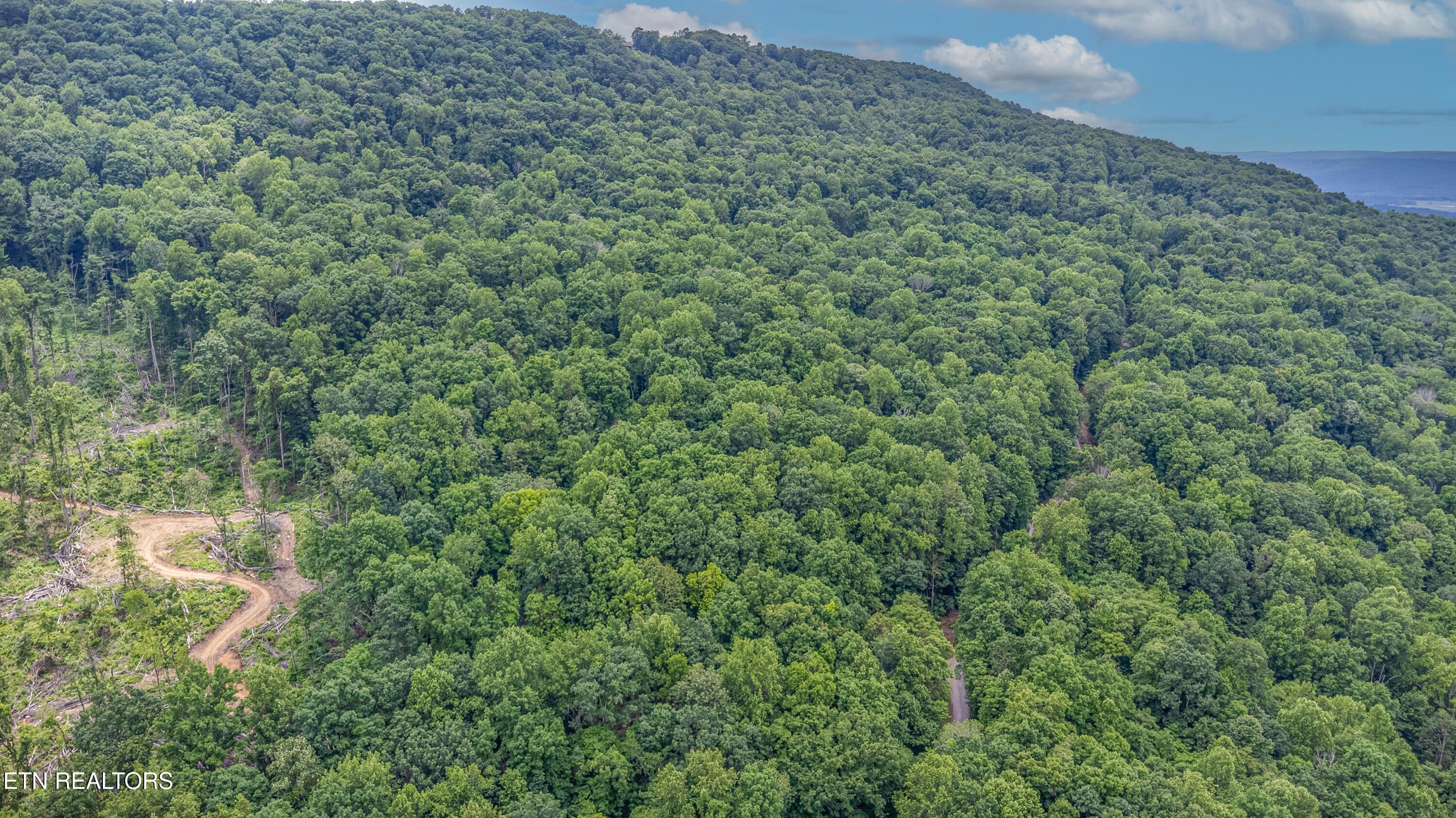 56 Timber Ridge Pikeville, TN 37367 - Photo 24 of 50 TR 31