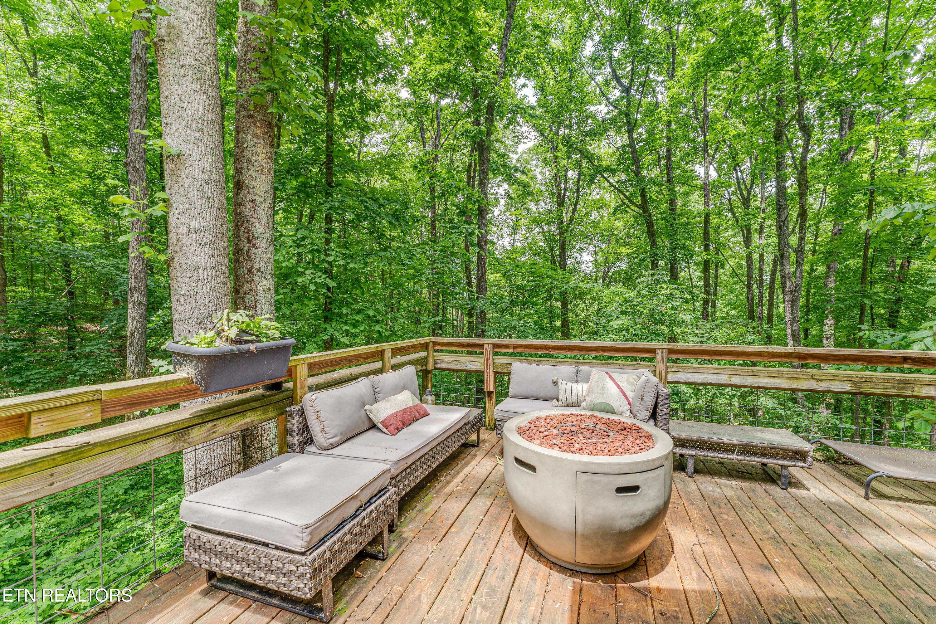 56 Timber Ridge Pikeville, TN 37367 - Photo 5 of 50 TR 6