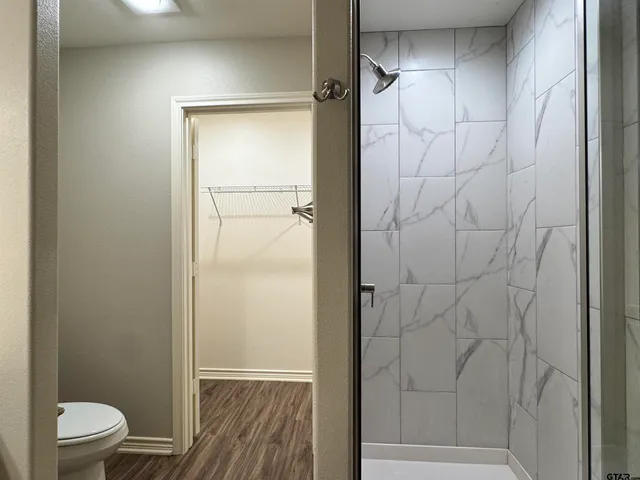 a bathroom with a shower and a toilet