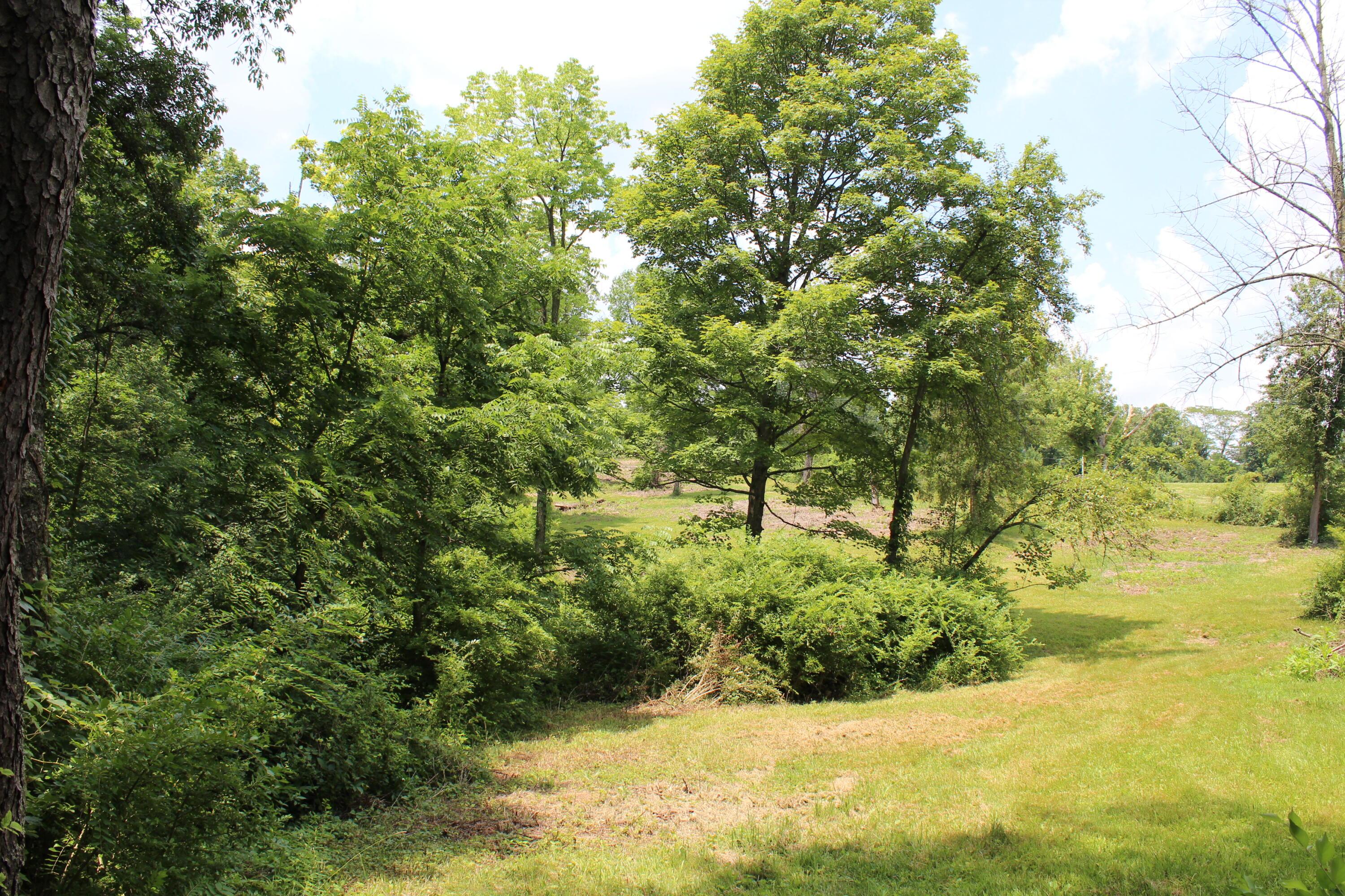 8870 Olentangy River Road Powell, OH 43065 - Photo 18 of 61 IMG_6695