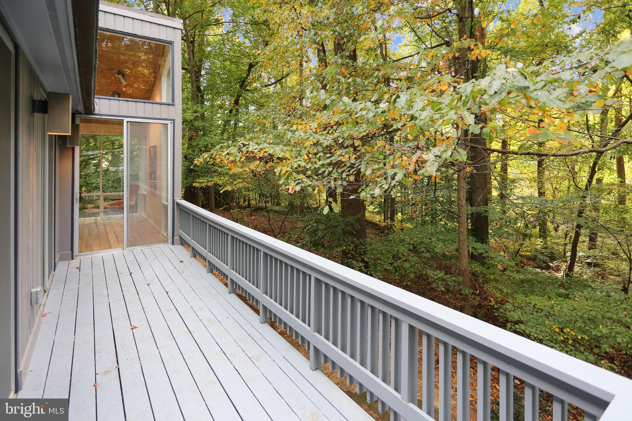 3928 Rickover Road Silver Spring, MD 20902 - Photo 28 of 62 A amazing tree view!