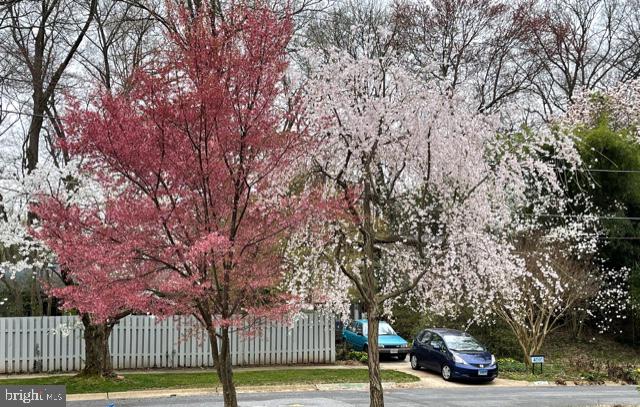 3928 Rickover Road Silver Spring, MD 20902 - Photo 58 of 62 a view of city street with trees