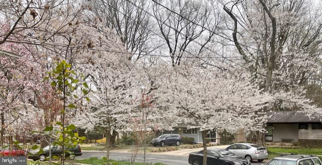 3928 Rickover Road Silver Spring, MD 20902 - Photo 59 of 62 Spring time in the hood.