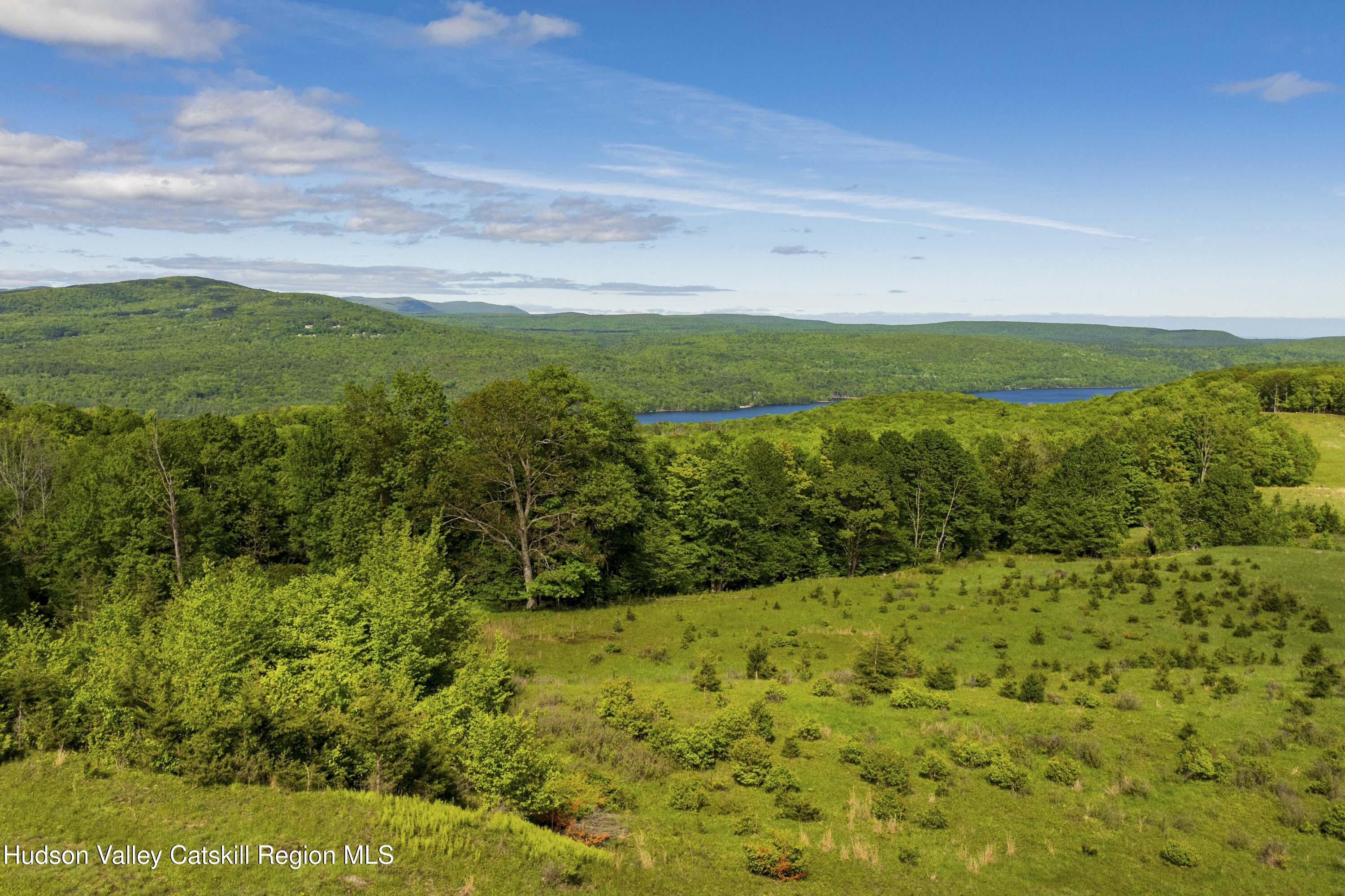 19 Red Rock Road Grahamsville, NY 12740 - Photo 2 of 14 a view of a garden with an ocean