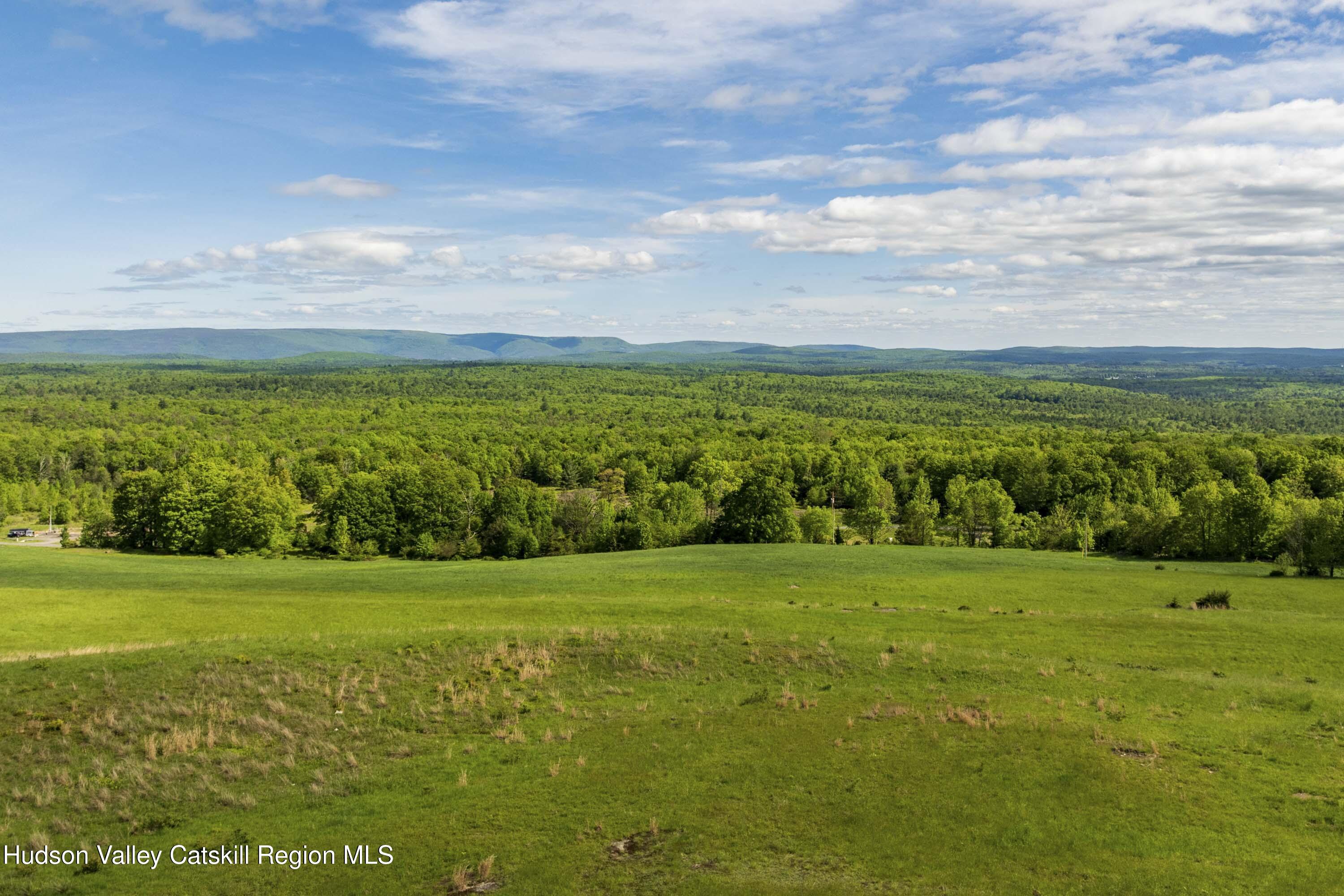 19 Red Rock Road Grahamsville, NY 12740 - Photo 3 of 14 a view of a city