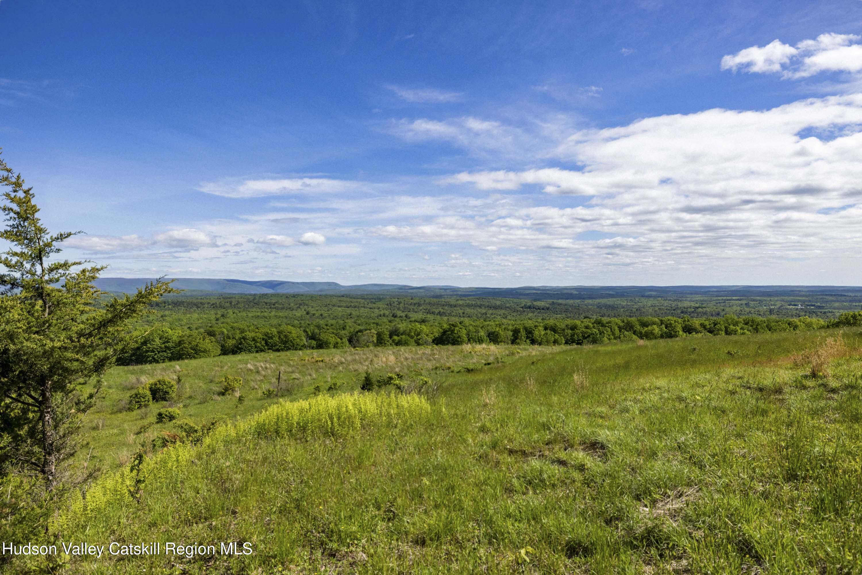 19 Red Rock Road Grahamsville, NY 12740 - Photo 4 of 14