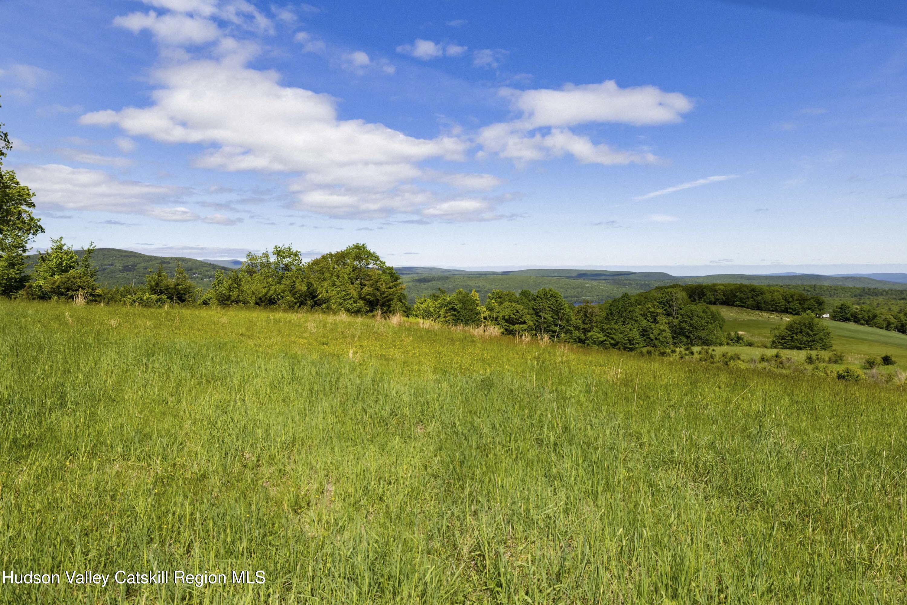 19 Red Rock Road Grahamsville, NY 12740 - Photo 5 of 14 a view of an ocean and beach