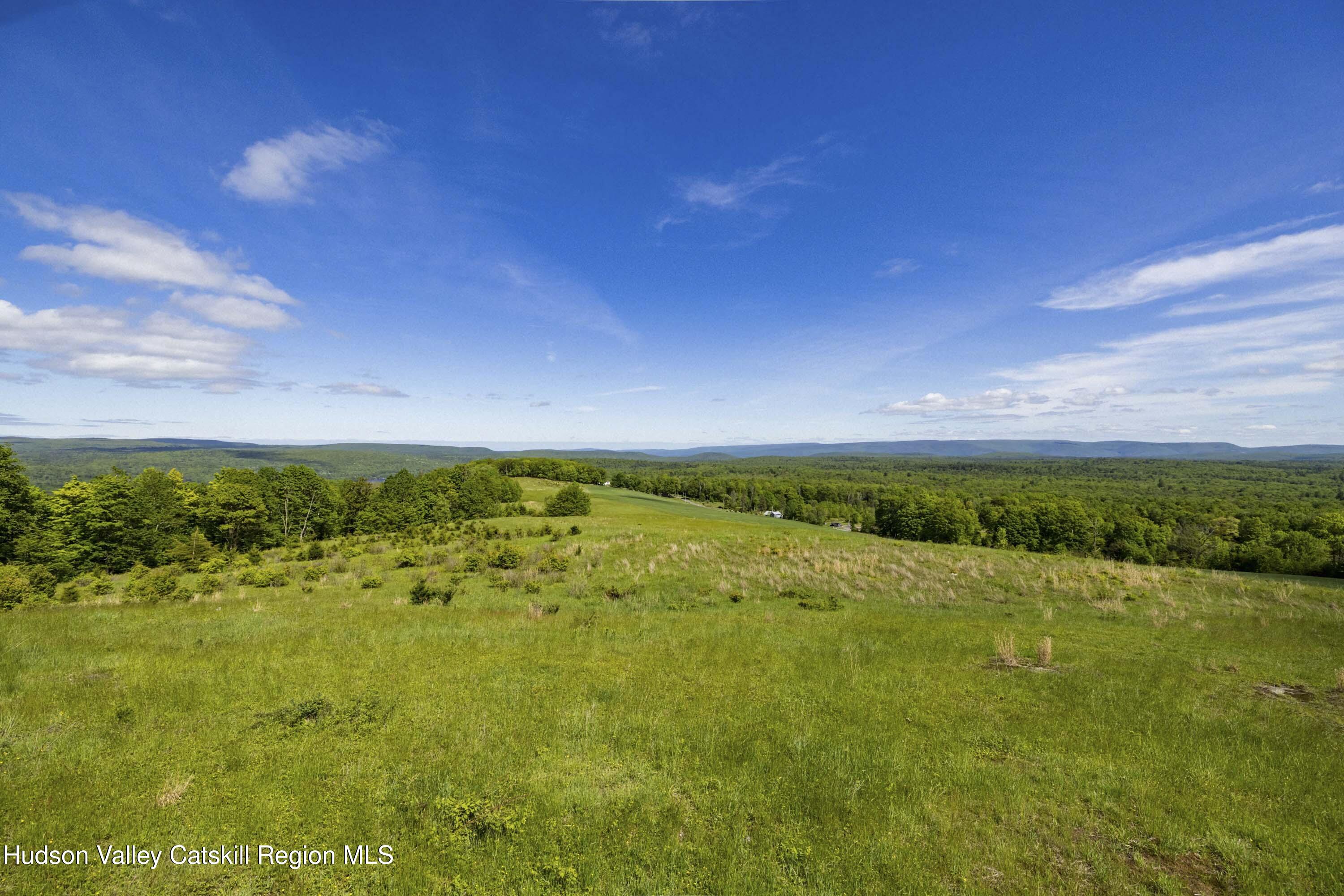 19 Red Rock Road Grahamsville, NY 12740 - Photo 6 of 14 a view of an ocean