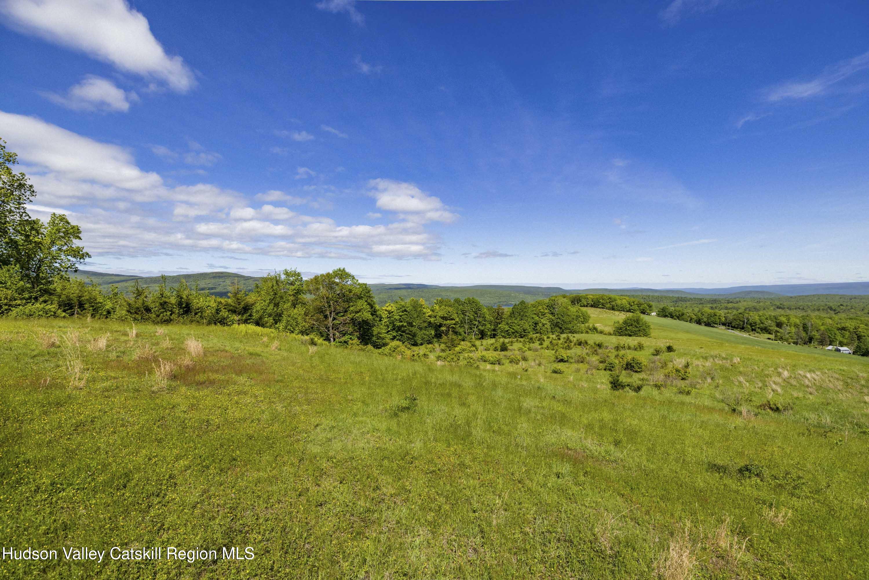 19 Red Rock Road Grahamsville, NY 12740 - Photo 7 of 14 a view of an ocean