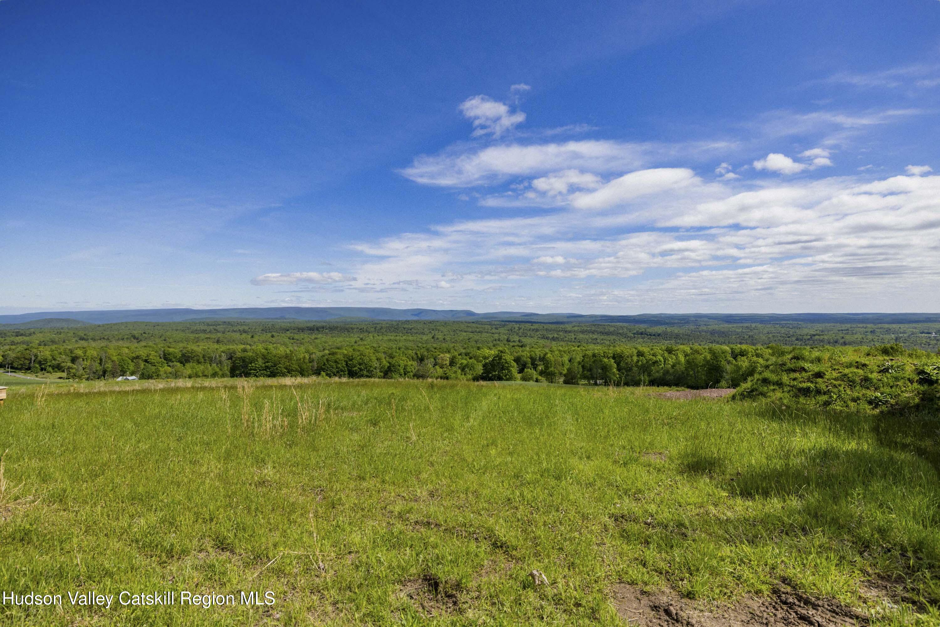 19 Red Rock Road Grahamsville, NY 12740 - Photo 8 of 14 a view of city and lake