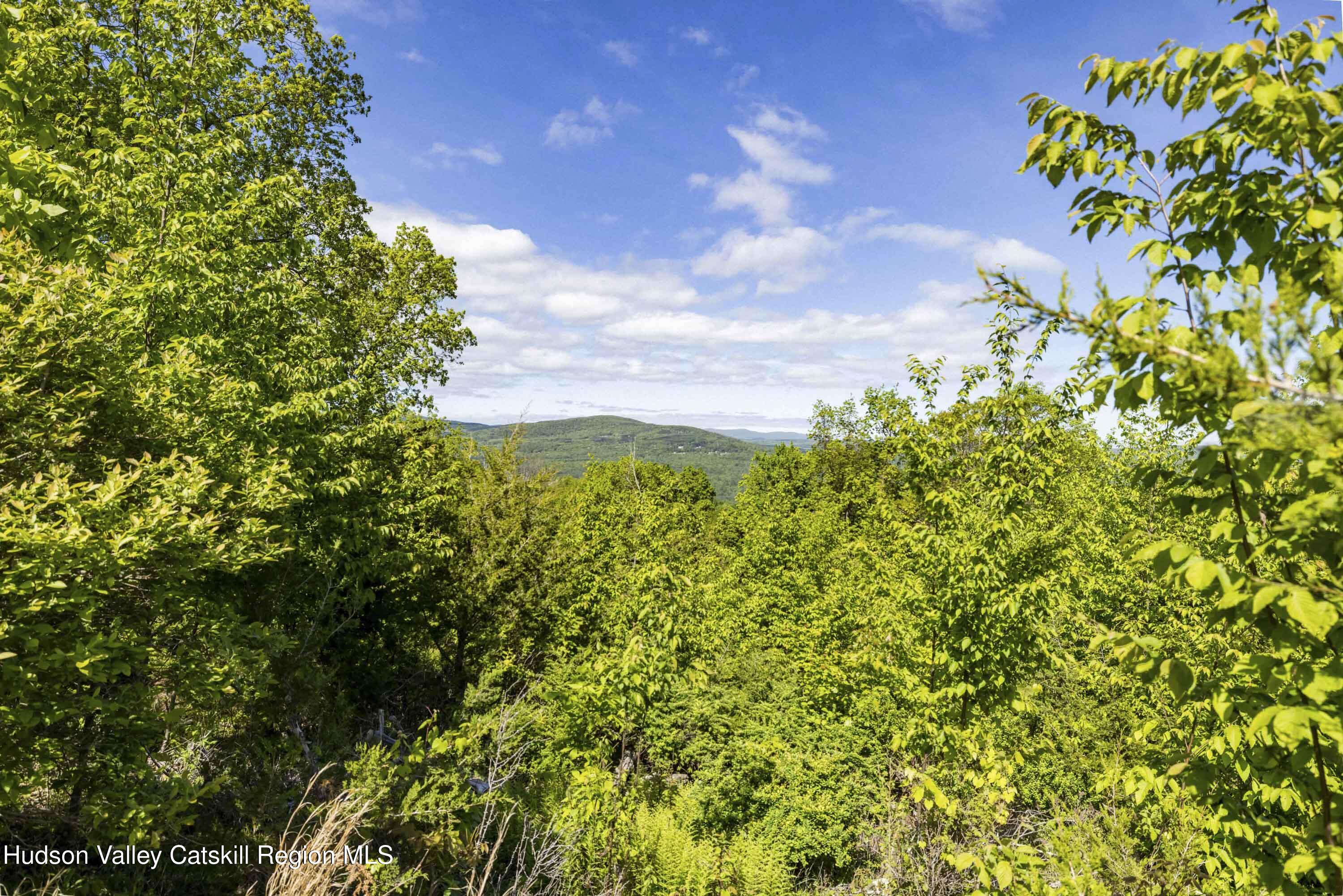 19 Red Rock Road Grahamsville, NY 12740 - Photo 9 of 14 a view of a garden