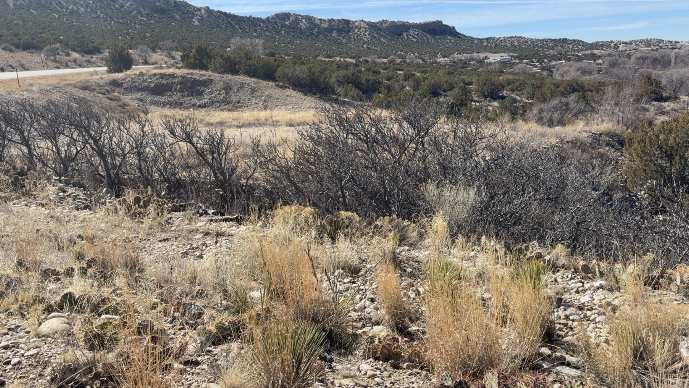 1378-state Rd 1378-state Road Velarde, NM 87582 - Photo 16 of 16
