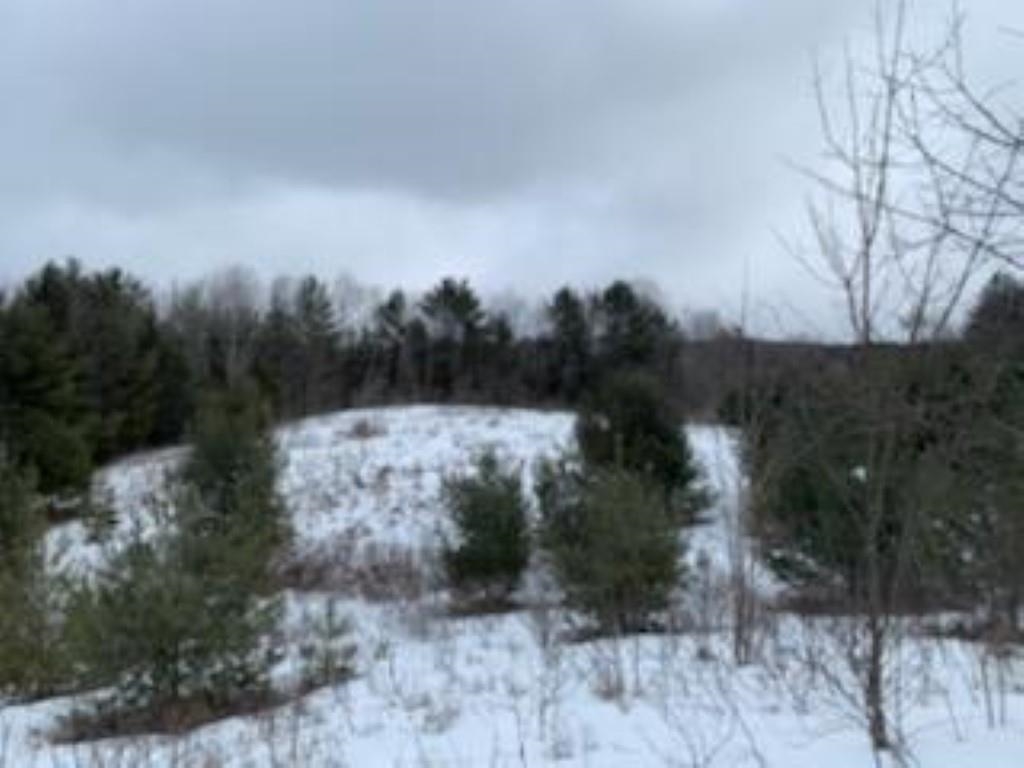0 St Johnsbury Road Littleton, NH 03561 - Photo 7 of 21