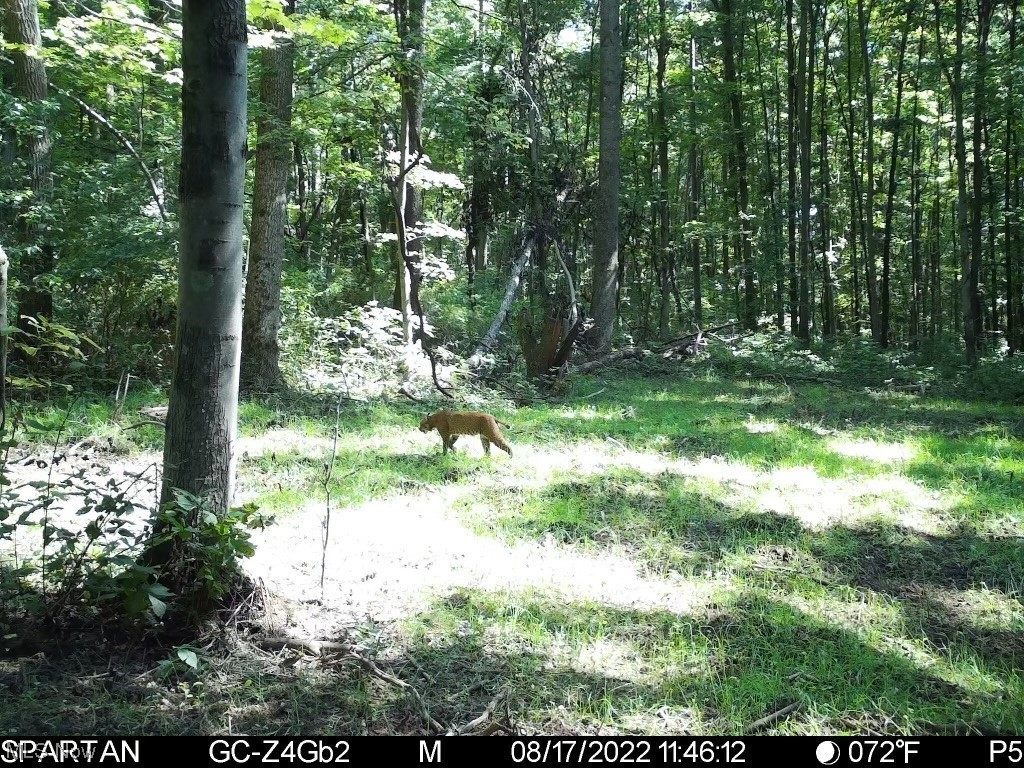 Sleepy Elm Road Newcomerstown, OH 43832 - Photo 24 of 33 Gallery Image 24
