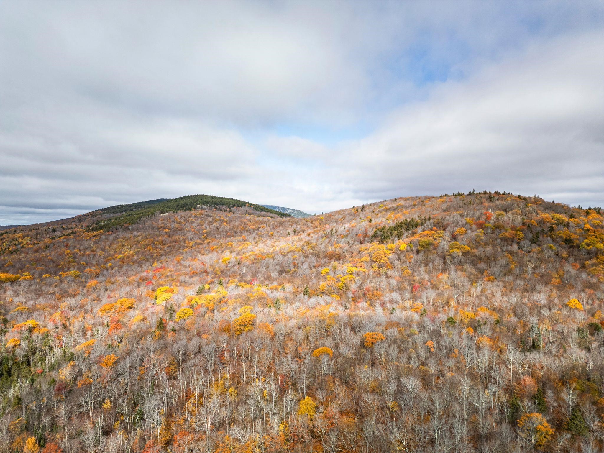 0 Orange Road Alexandria, NH 03222 - Photo 11 of 13