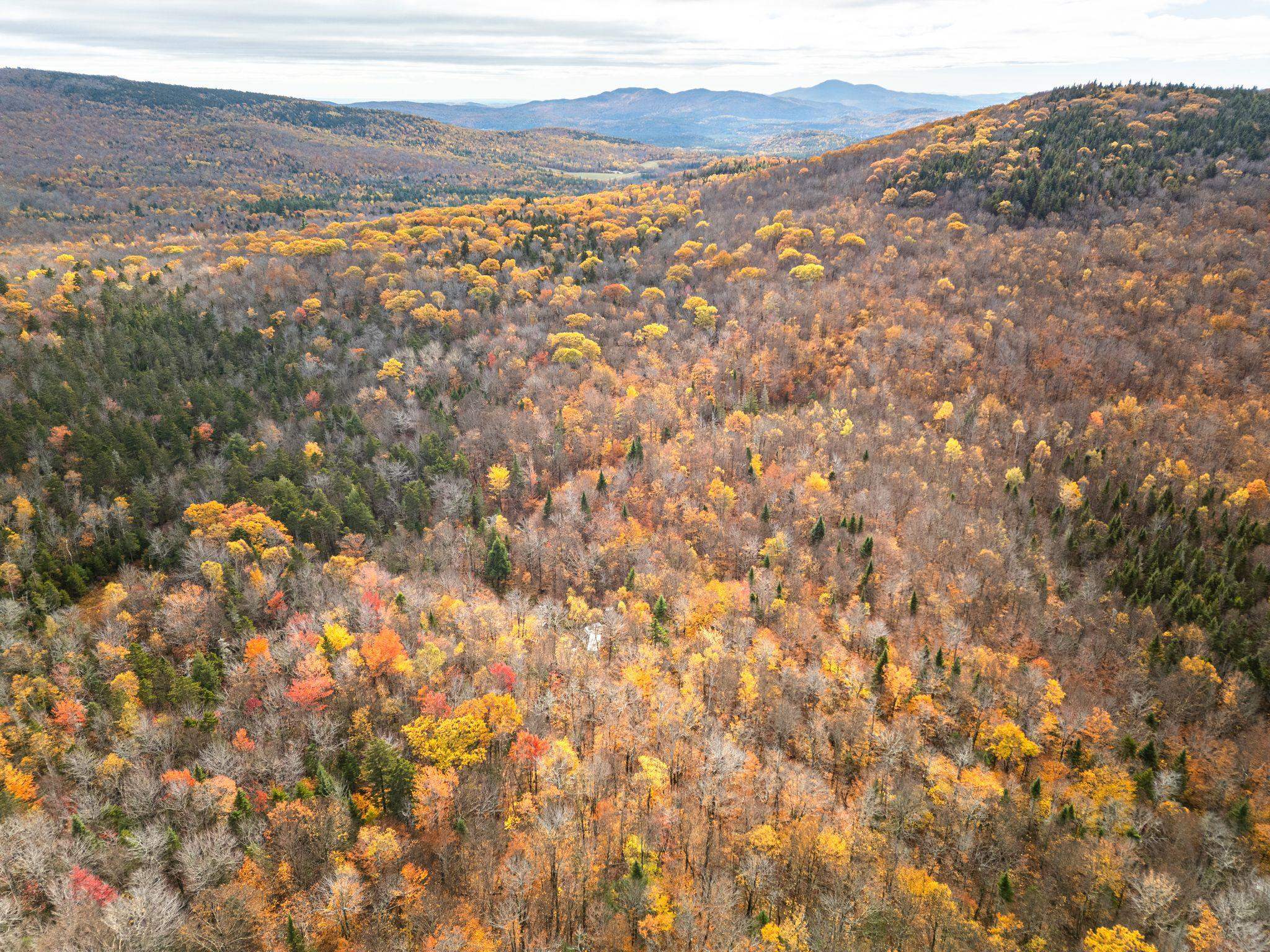 0 Orange Road Alexandria, NH 03222 - Photo 12 of 13