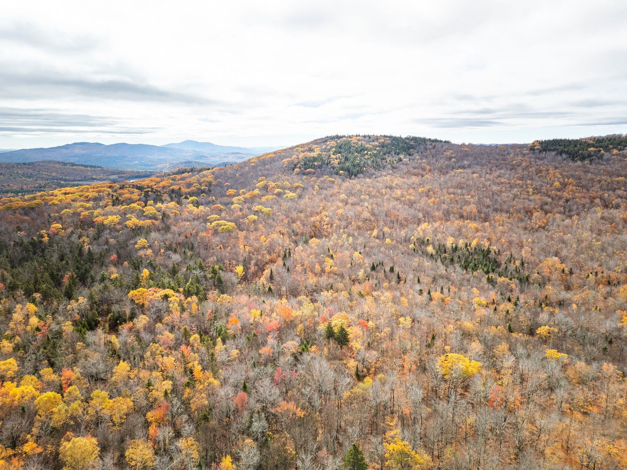 0 Orange Road Alexandria, NH 03222 - Photo 13 of 13
