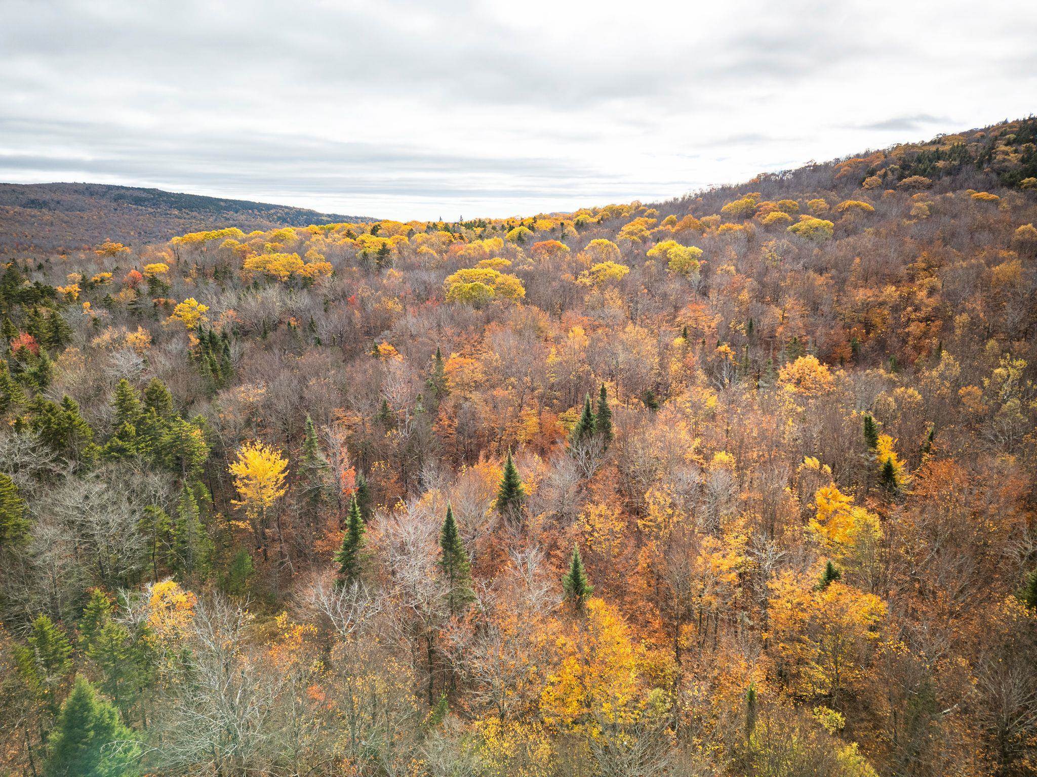 0 Orange Road Alexandria, NH 03222 - Photo 2 of 13