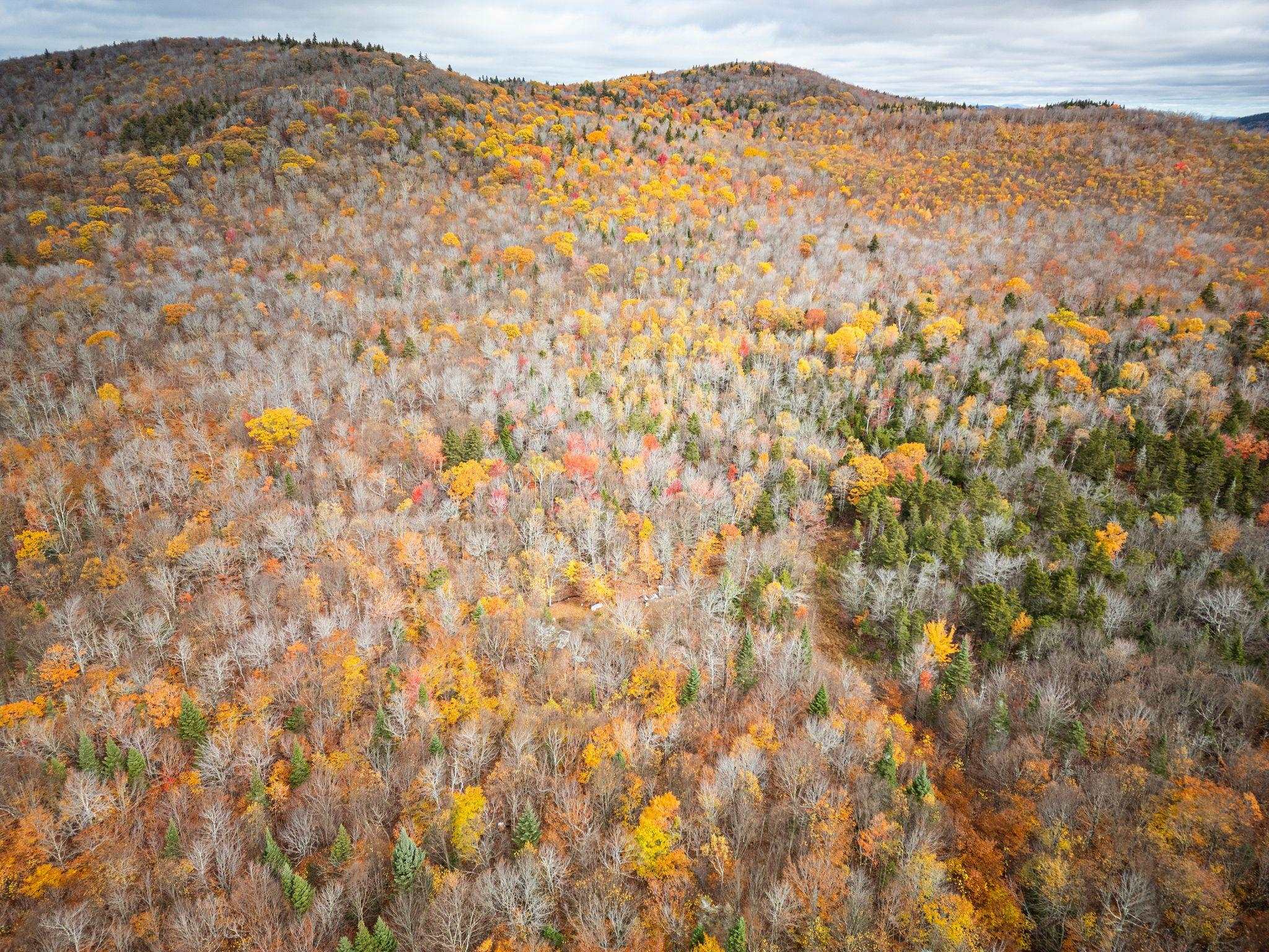 0 Orange Road Alexandria, NH 03222 - Photo 4 of 13