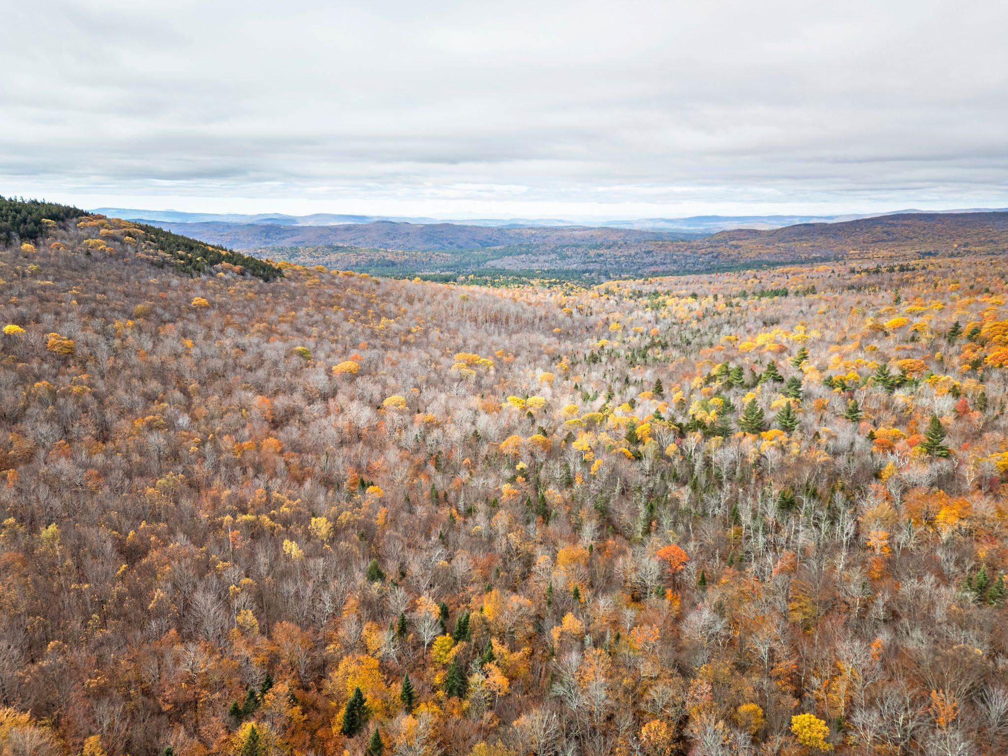 0 Orange Road Alexandria, NH 03222 - Photo 9 of 13