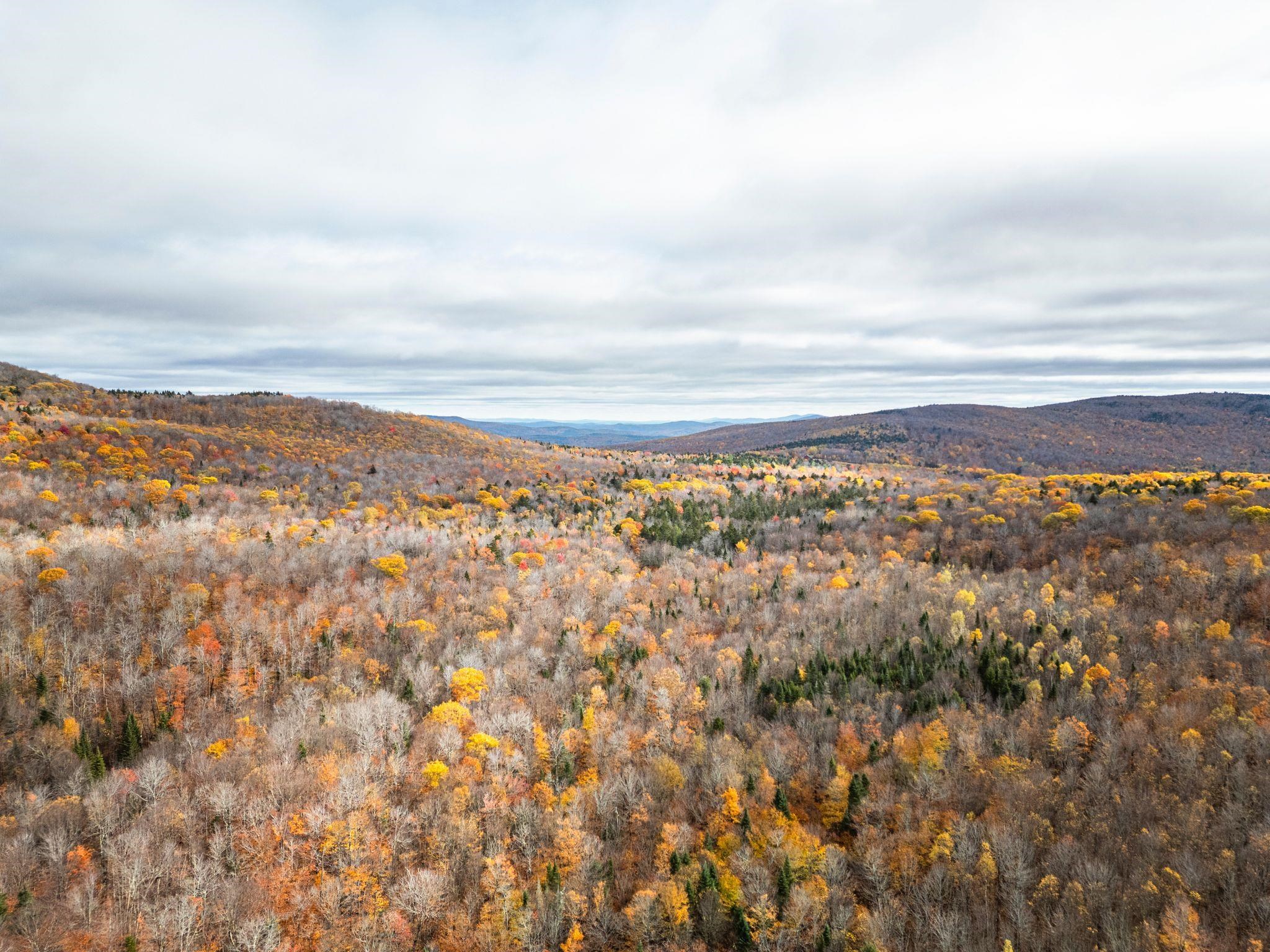 0 Orange Road Alexandria, NH 03222 - Photo 10 of 13