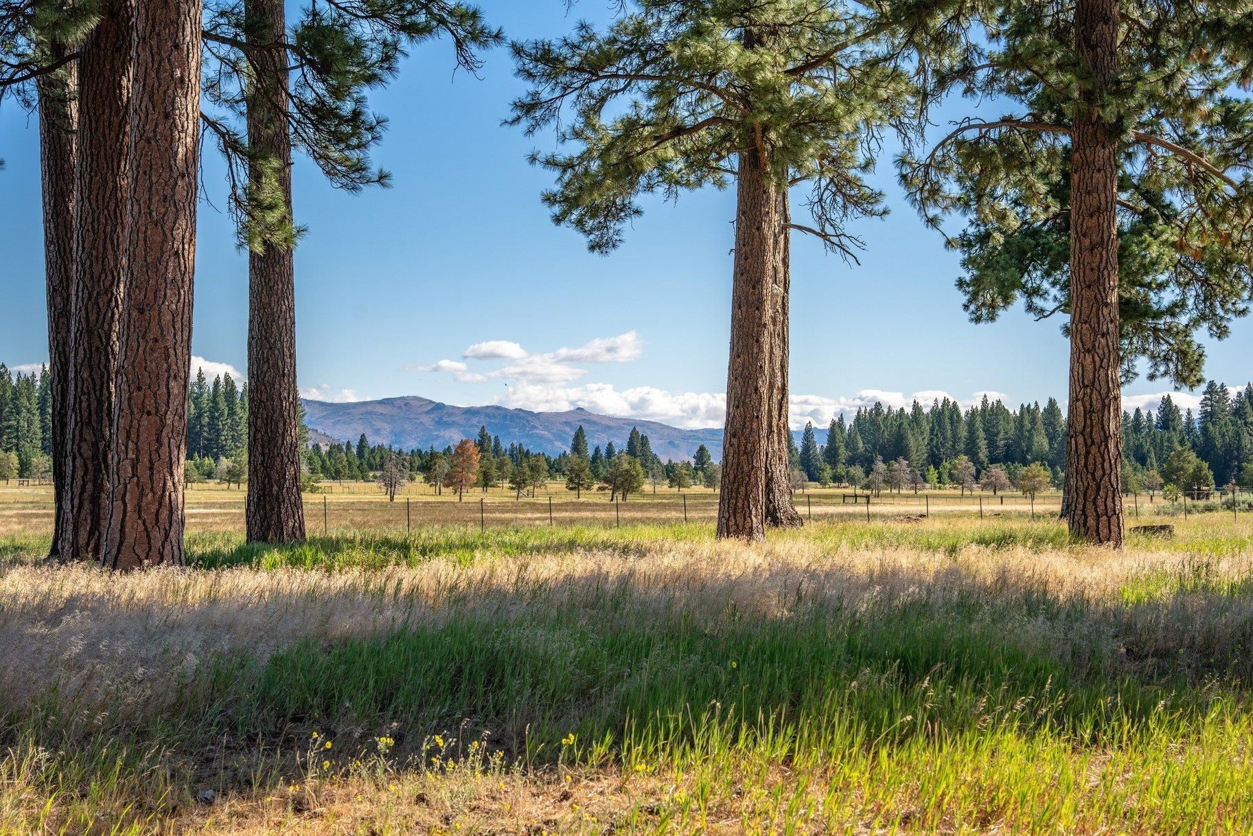22440 Highway 89 Calpine, CA 96124 - Photo 10 of 27