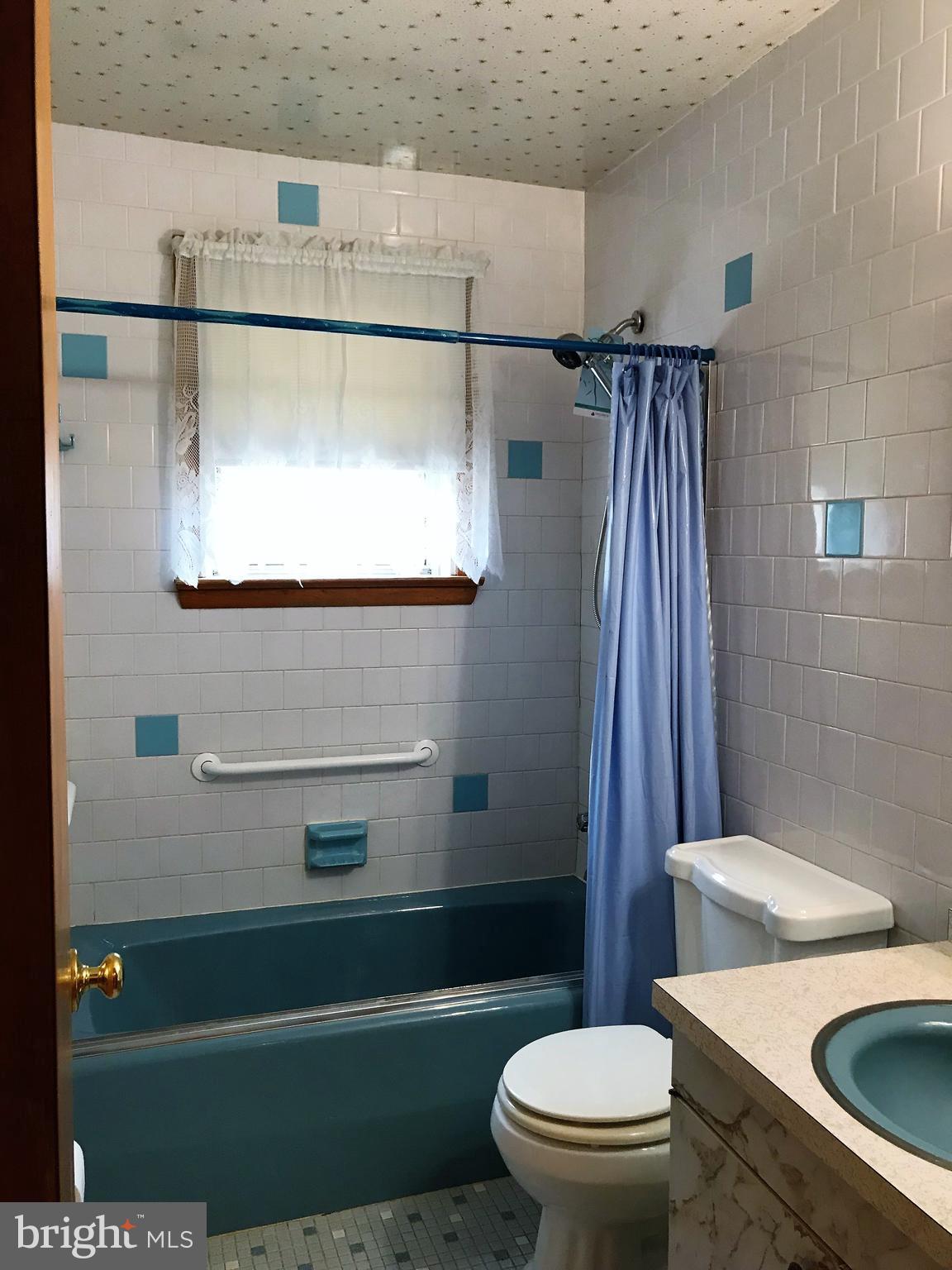 2306 Ruth Avenue Baltimore, MD 21219 - Photo 12 of 19 a bathroom with a toilet a sink and garden