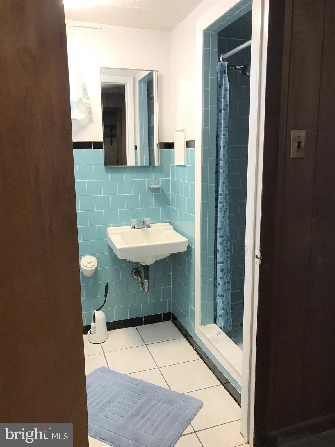2306 Ruth Avenue Baltimore, MD 21219 - Photo 18 of 19 a view of a bathroom with a sink and mirror