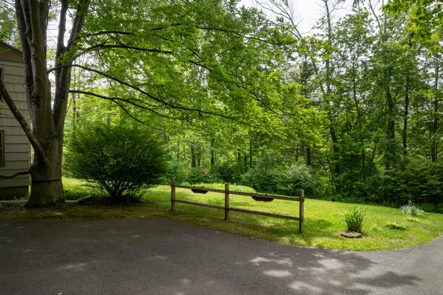 a view of a backyard with large trees