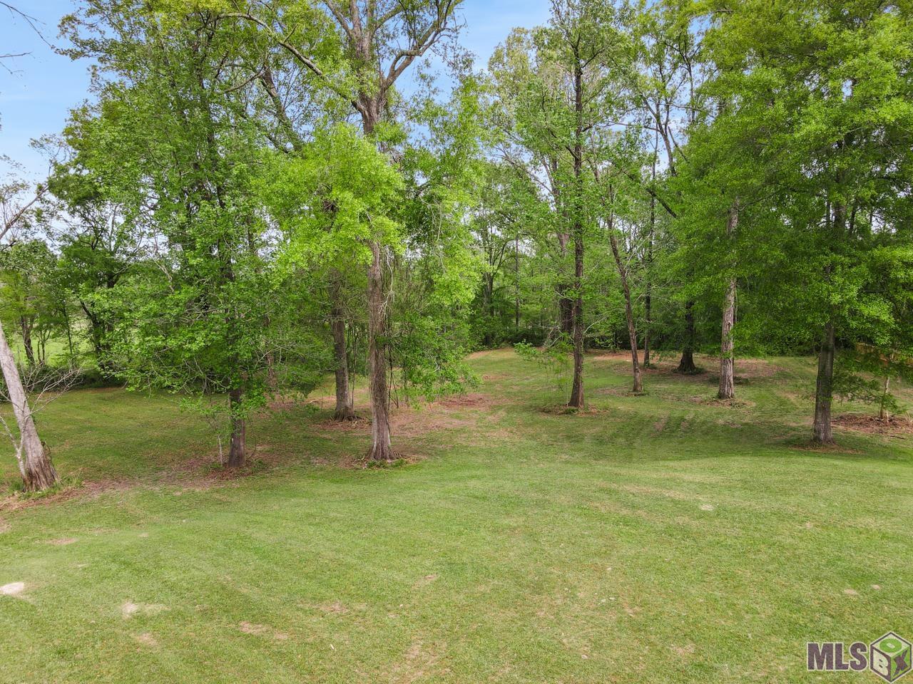 10841 Candletree Avenue Baker, LA 70714 - Photo 3 of 9 CENTRAL SCHOOLS
