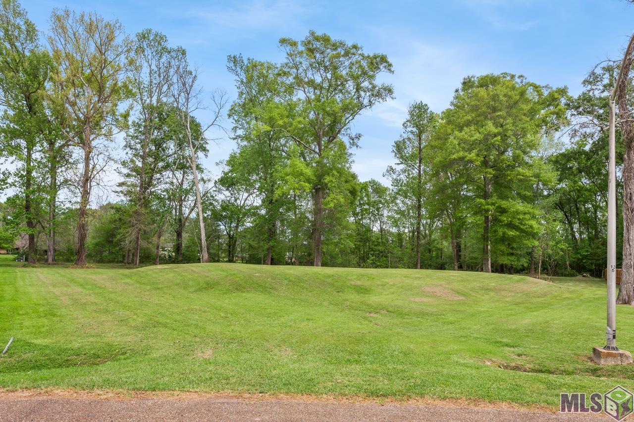 10841 Candletree Avenue Baker, LA 70714 - Photo 5 of 9 CENTRAL SCHOOLS