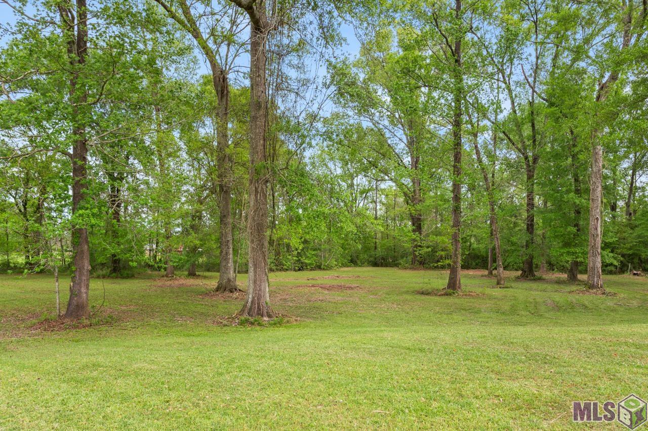 10841 Candletree Avenue Baker, LA 70714 - Photo 6 of 9 CENTRAL SCHOOLS