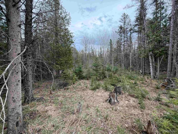 $29,900 | 41 Rd Trenary Mi 49891 Road, Rapid River, MI 49878