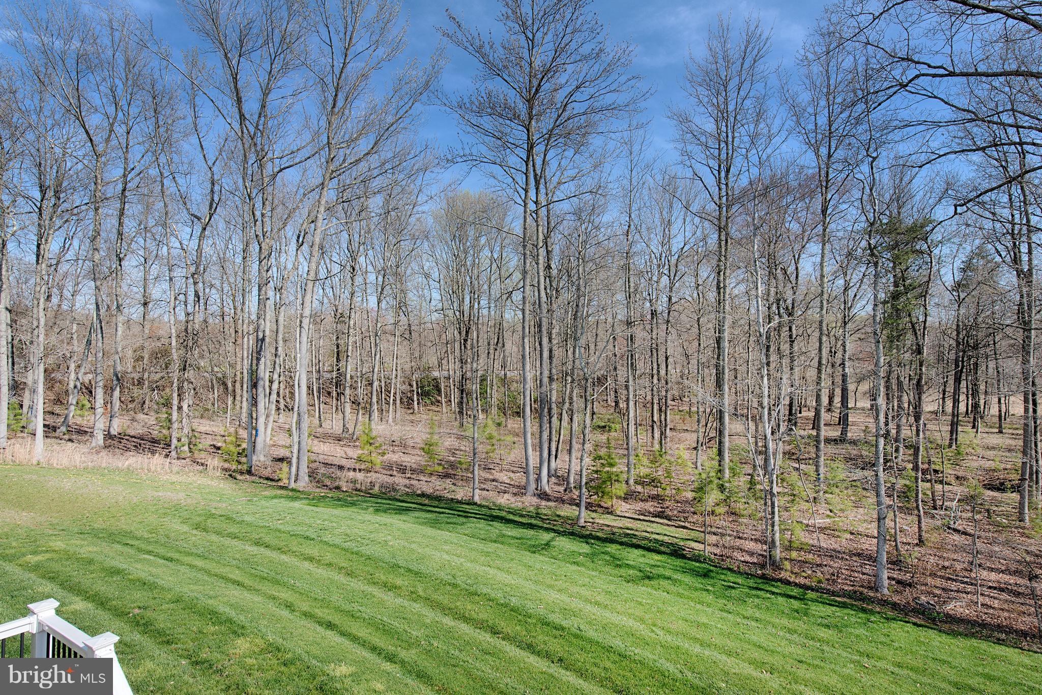 5602 Country Farm Road White Marsh, MD 21162 - Photo 5 of 30 Backing to Trees offering Privacy!
