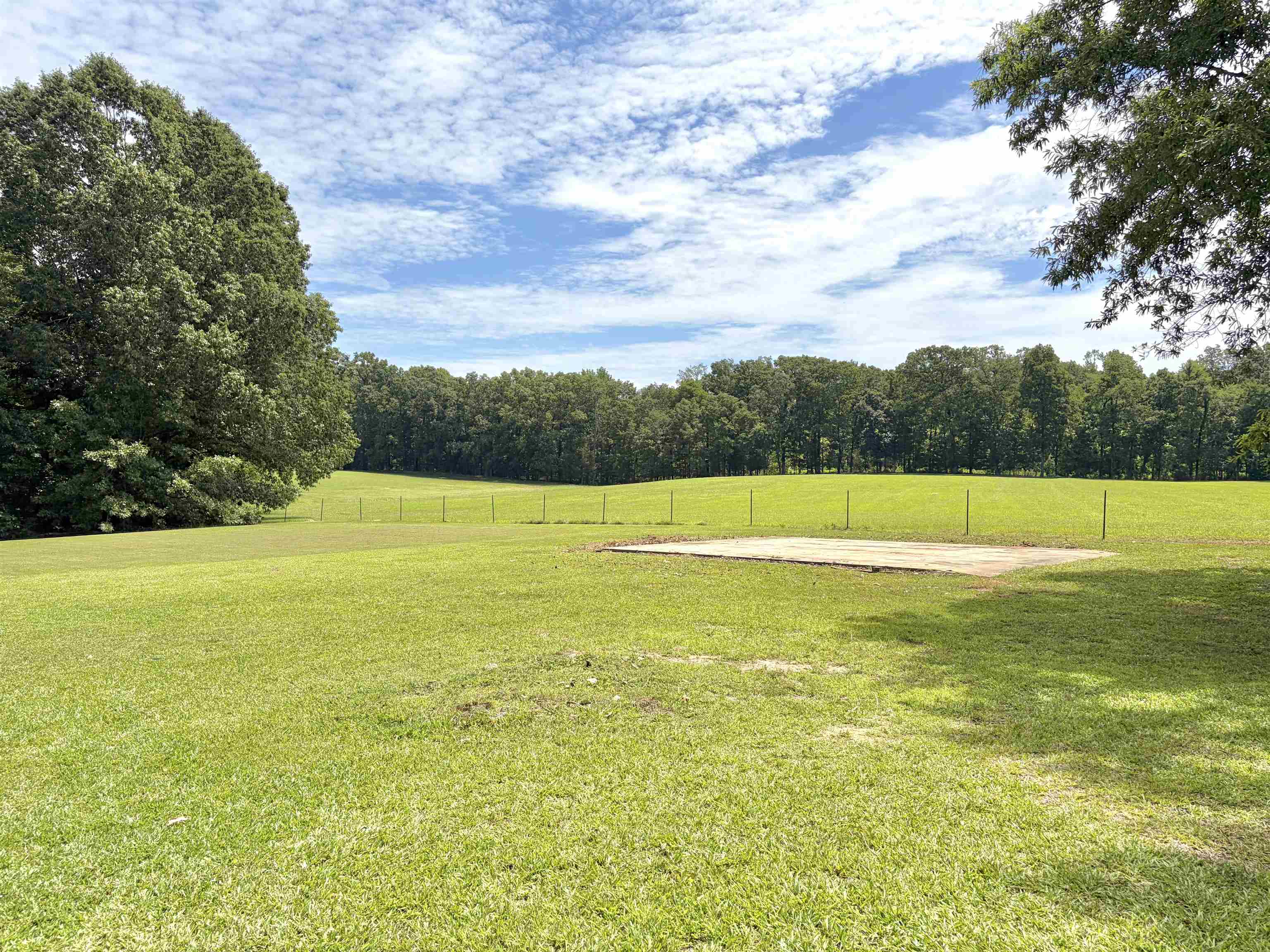 640 Red Bird Road Middleton, TN 38052 - Photo 29 of 30 Yard
