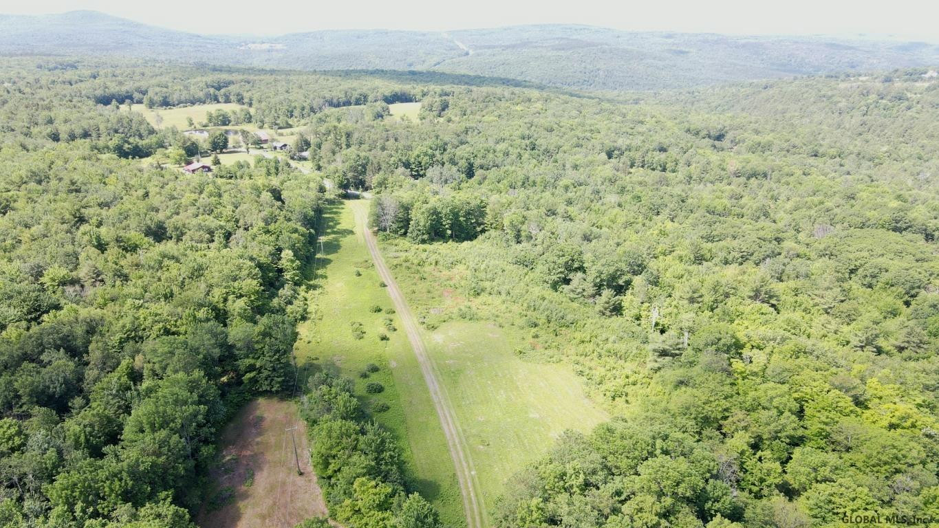 266 Proper Road Broome, NY 12122 - Photo 47 of 80 Photo 47