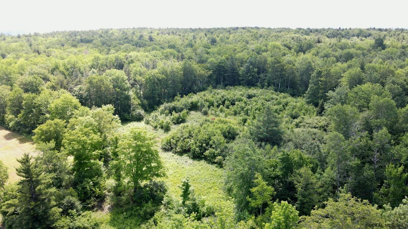 266 Proper Road Broome, NY 12122 - Photo 48 of 80 Photo 48