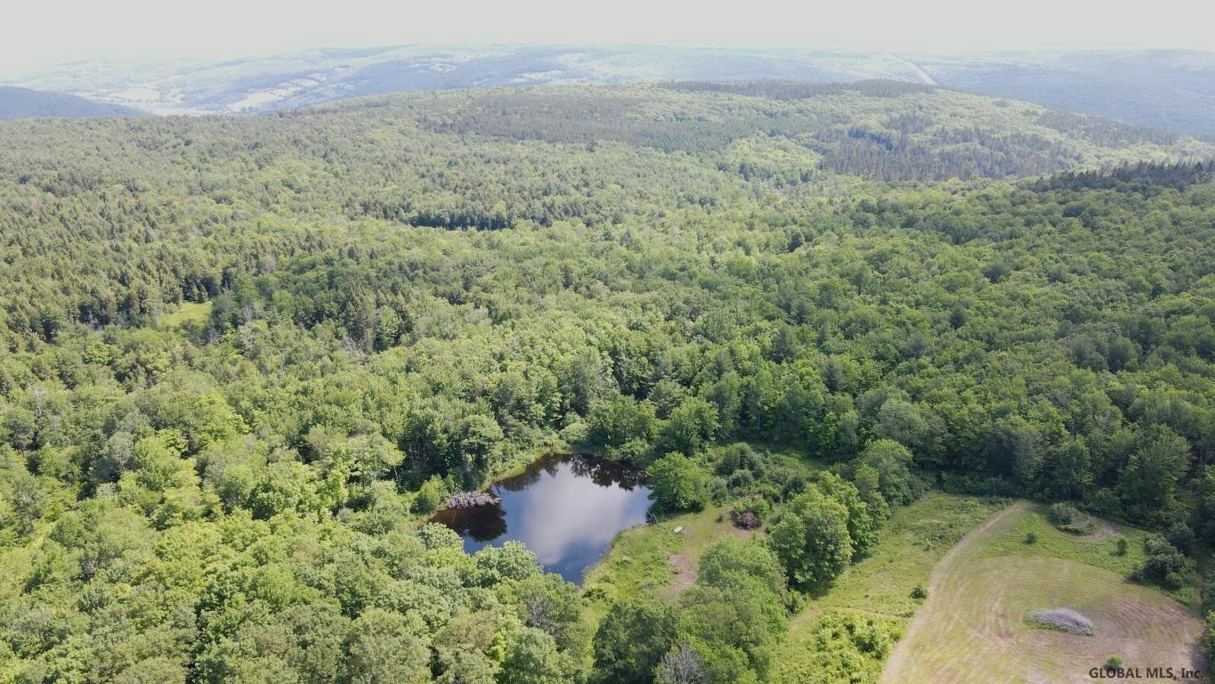 266 Proper Road Broome, NY 12122 - Photo 49 of 80 Photo 49