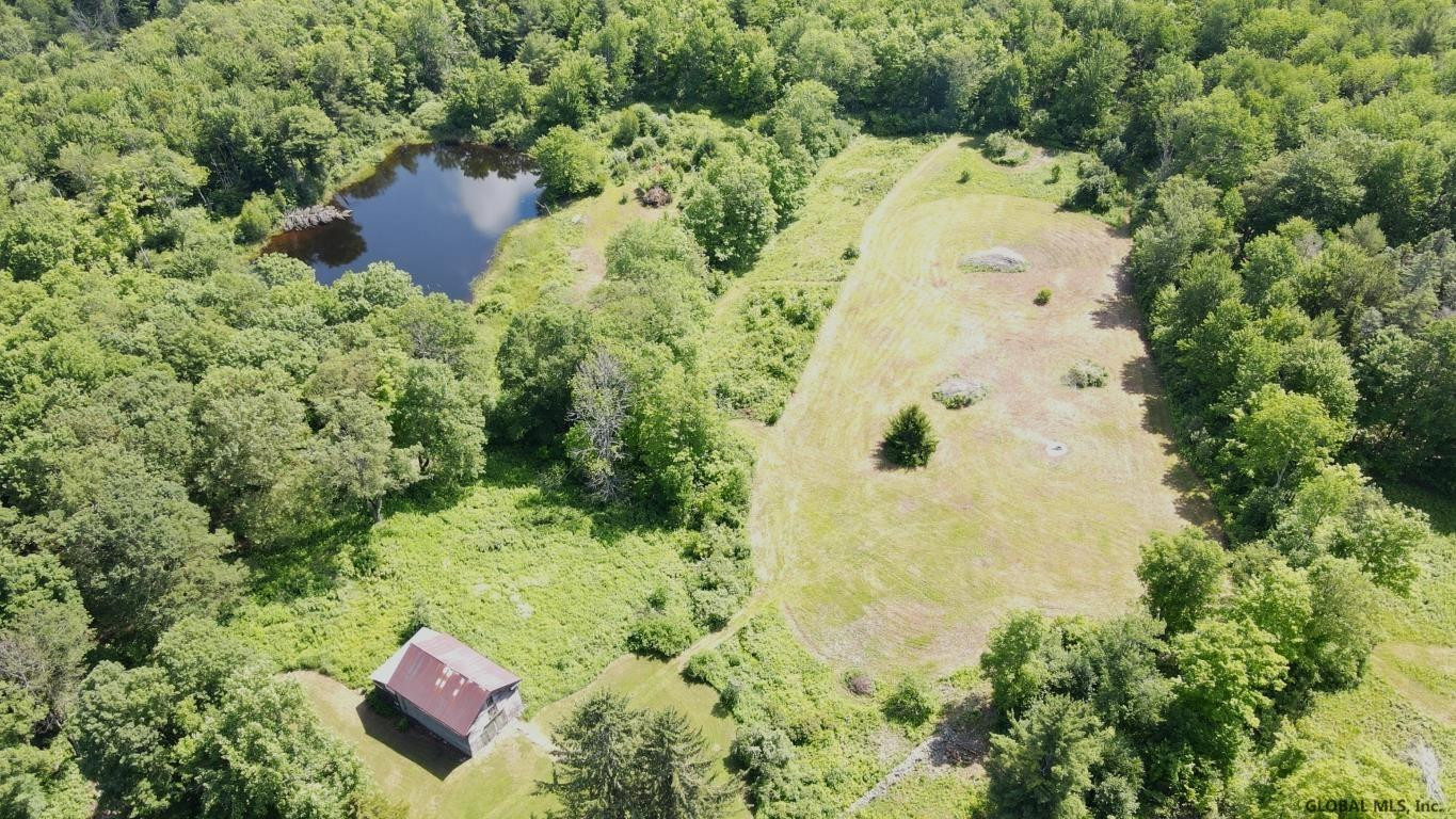 266 Proper Road Broome, NY 12122 - Photo 51 of 80 Photo 51