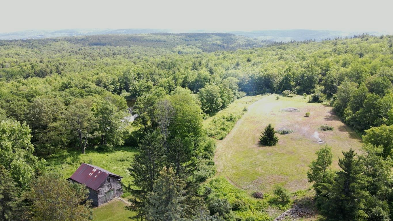 266 Proper Road Broome, NY 12122 - Photo 53 of 80 Photo 53