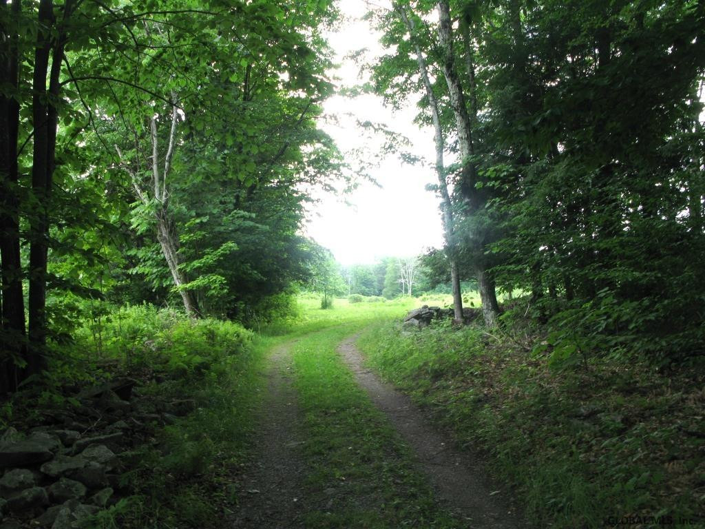 266 Proper Road Broome, NY 12122 - Photo 77 of 80 Photo 77