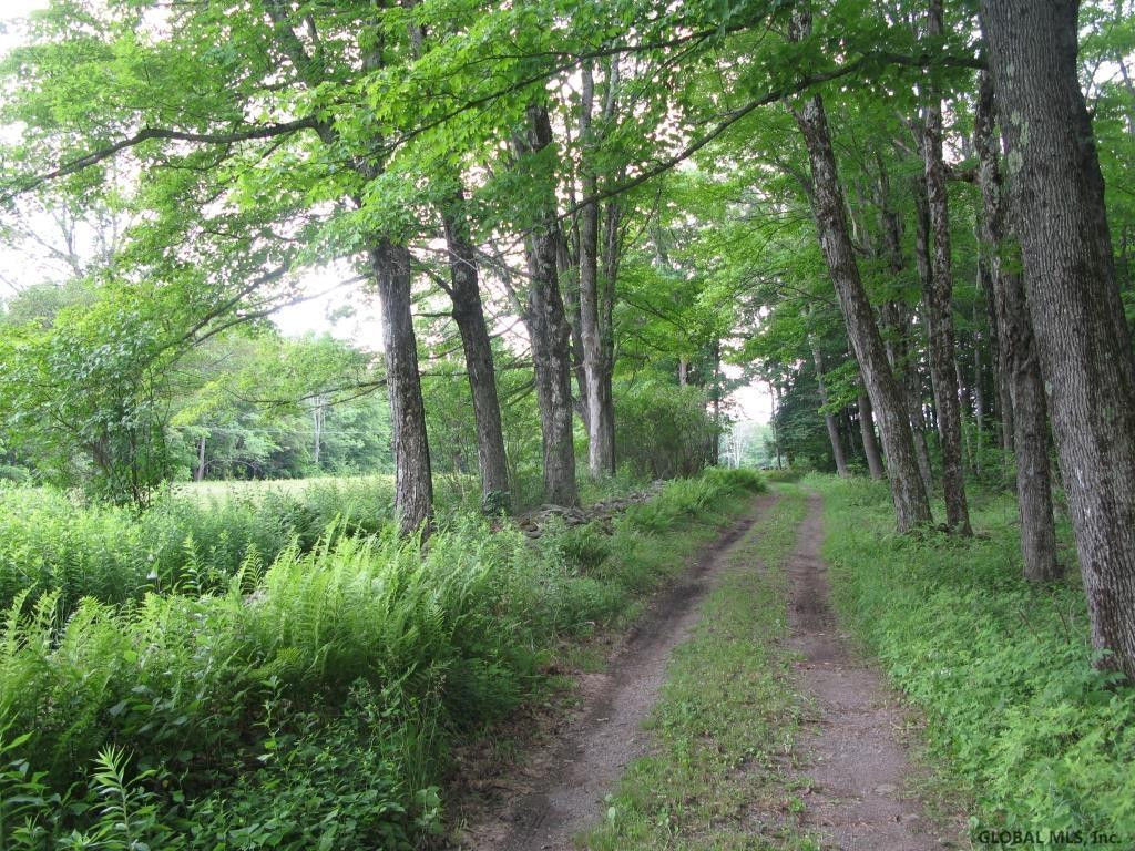 266 Proper Road Broome, NY 12122 - Photo 78 of 80 Photo 78