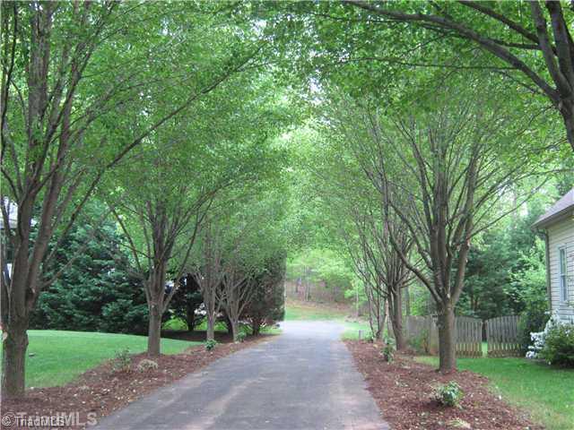 6380 Armsburg Road Clemmons, NC 27012 - Photo 15 of 16 View. Driveway to house