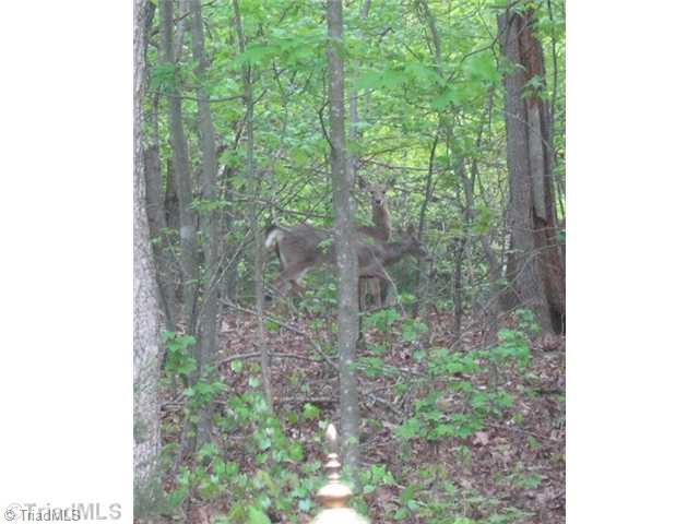 6380 Armsburg Road Clemmons, NC 27012 - Photo 16 of 16 Land. View from back yard