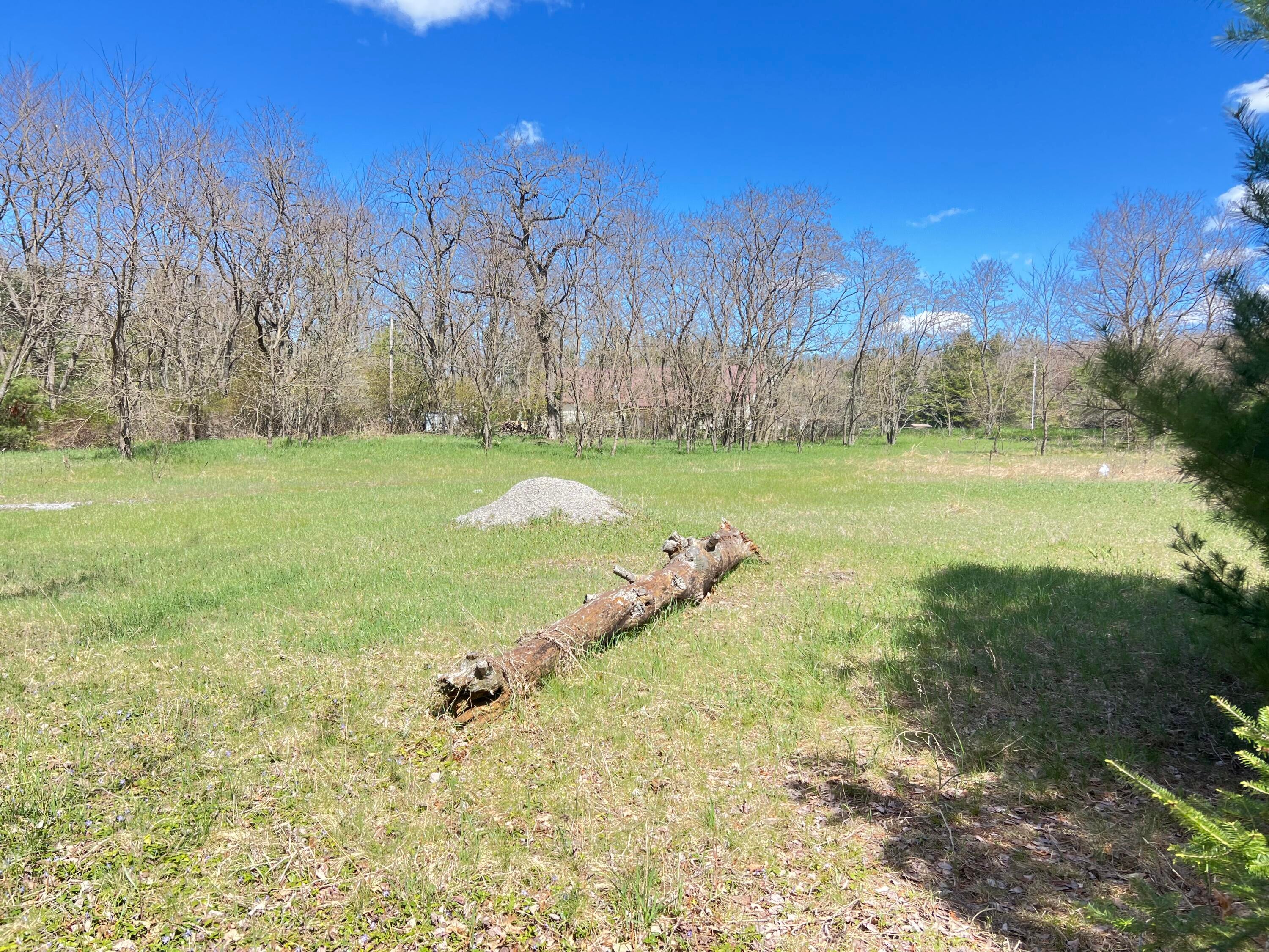 12190 Laundromat Road Atlanta, MI 49709 - Photo 4 of 13 Image 2