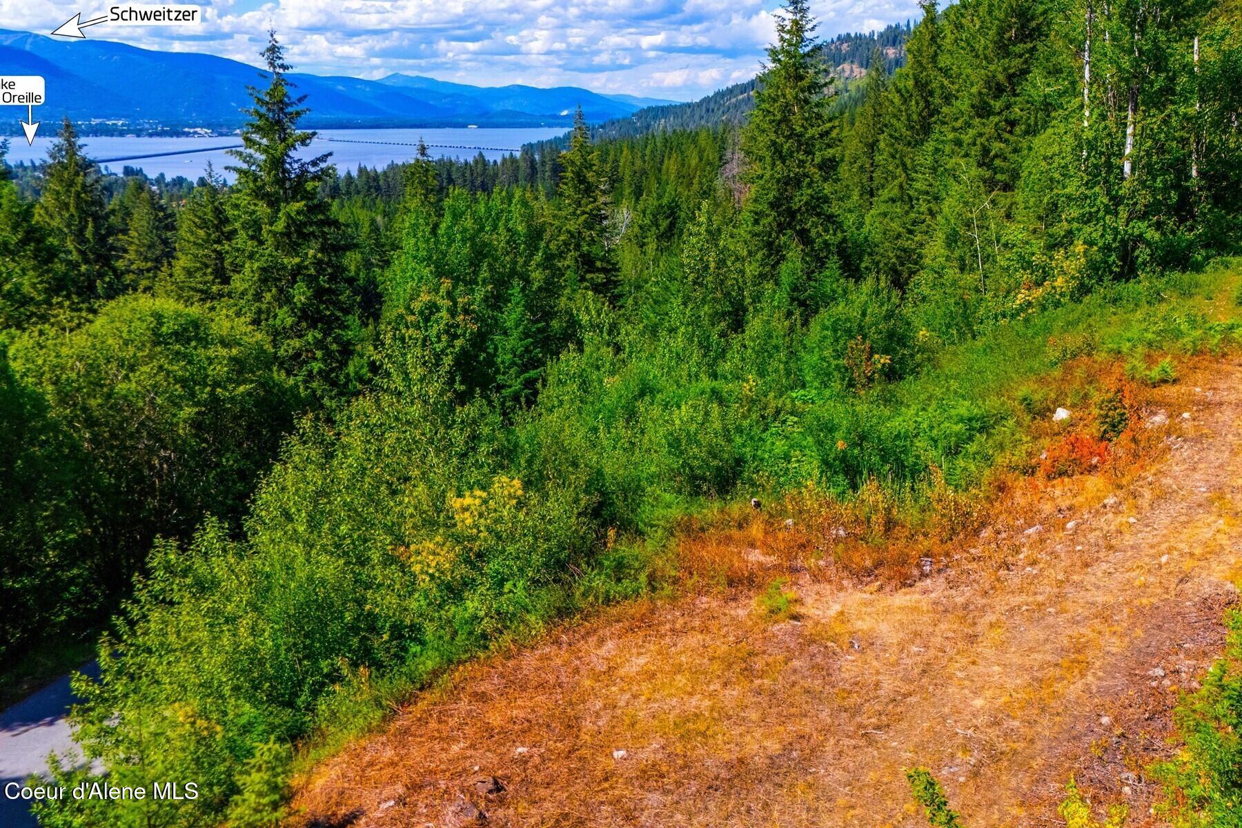Lot 2 Forever View Road Sagle, ID 83860 - Photo 20 of 40 Capture Lake and Mountain Views