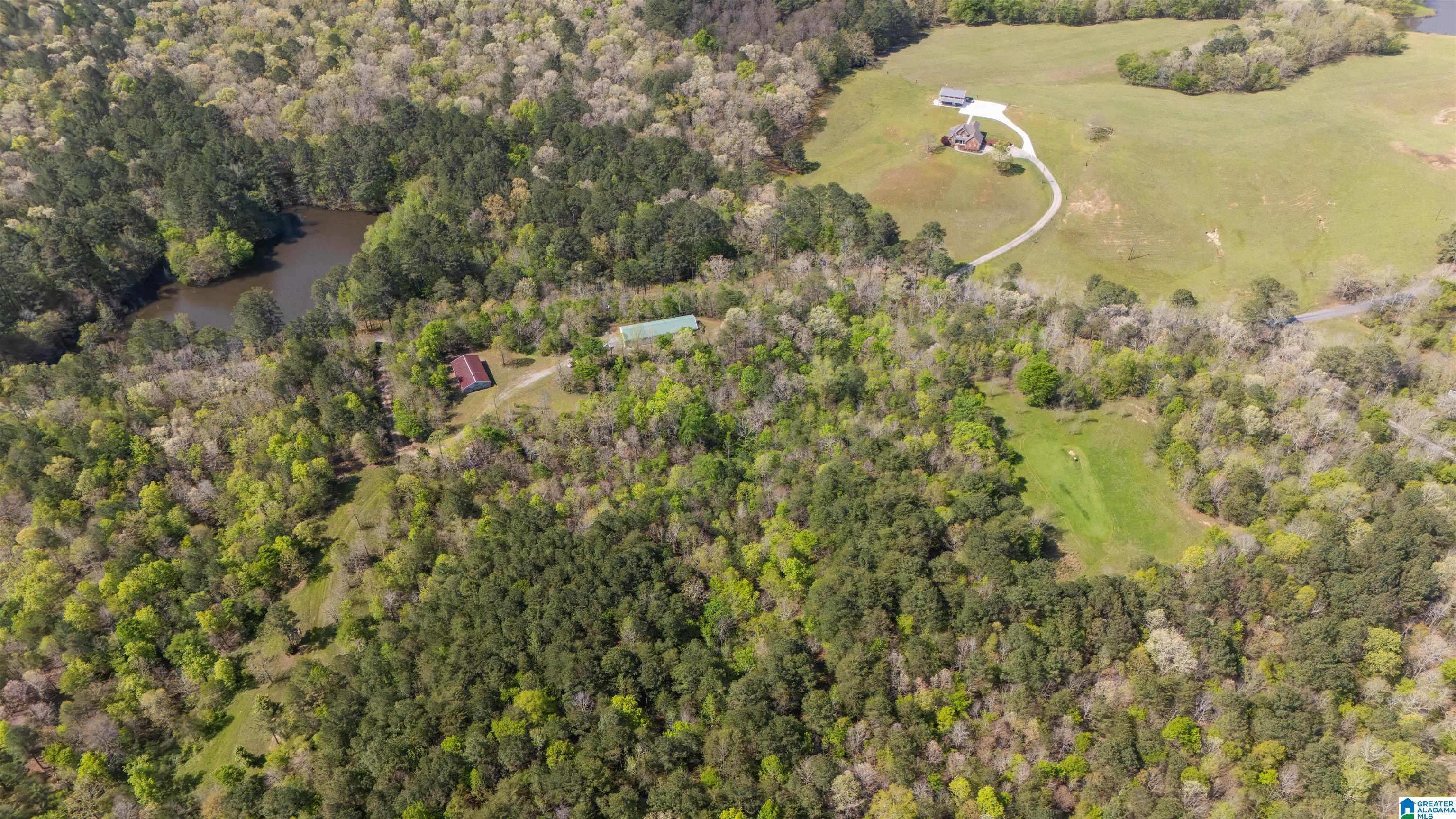 2121 Center Hill Road Trafford, AL 35172 - Photo 41 of 100