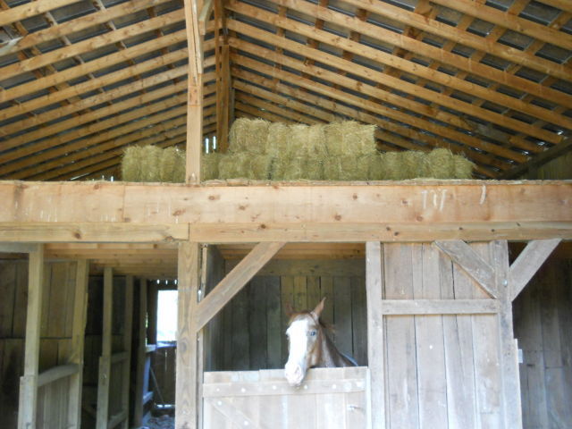 73 Hc Road Alderson, WV 24910 - Photo 26 of 51 Loft storage in barn