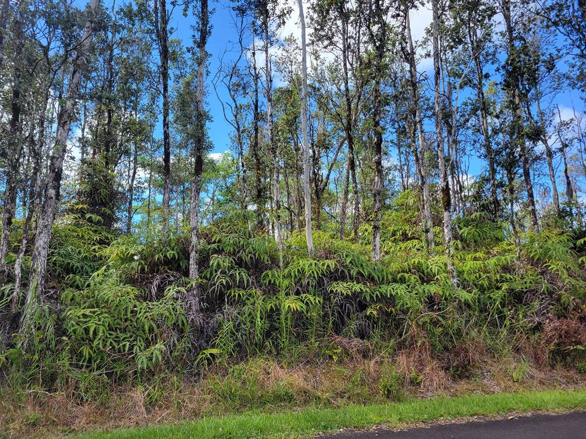 63 Seaview Road Pahoa, HI 96778 - Photo 1 of 3 Gallery Image 1